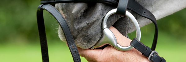 The Importance Of The Correct Bit Fit