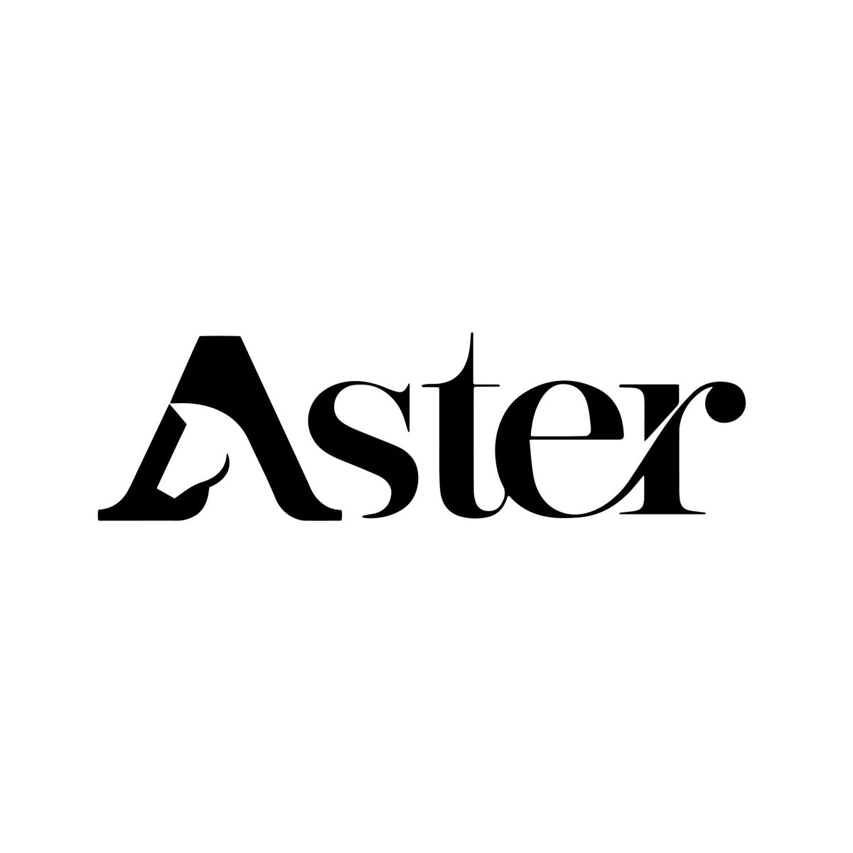 Aster bits