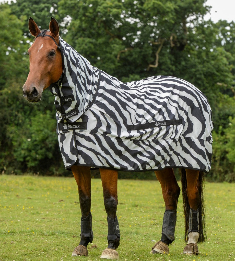 Bucas Fly Rugs
