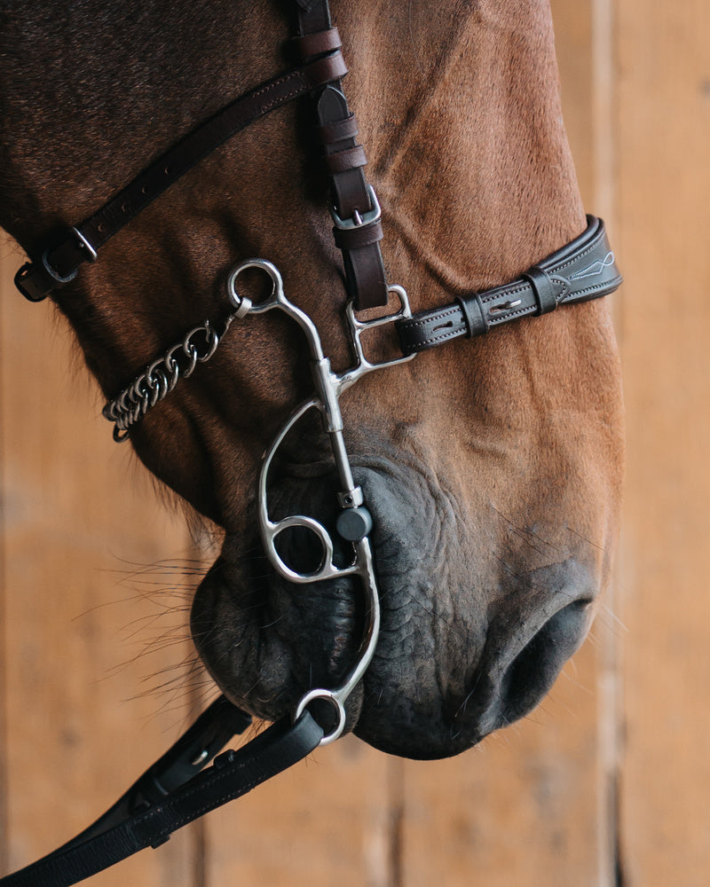 Otto Hackamore Combination bit Long shank