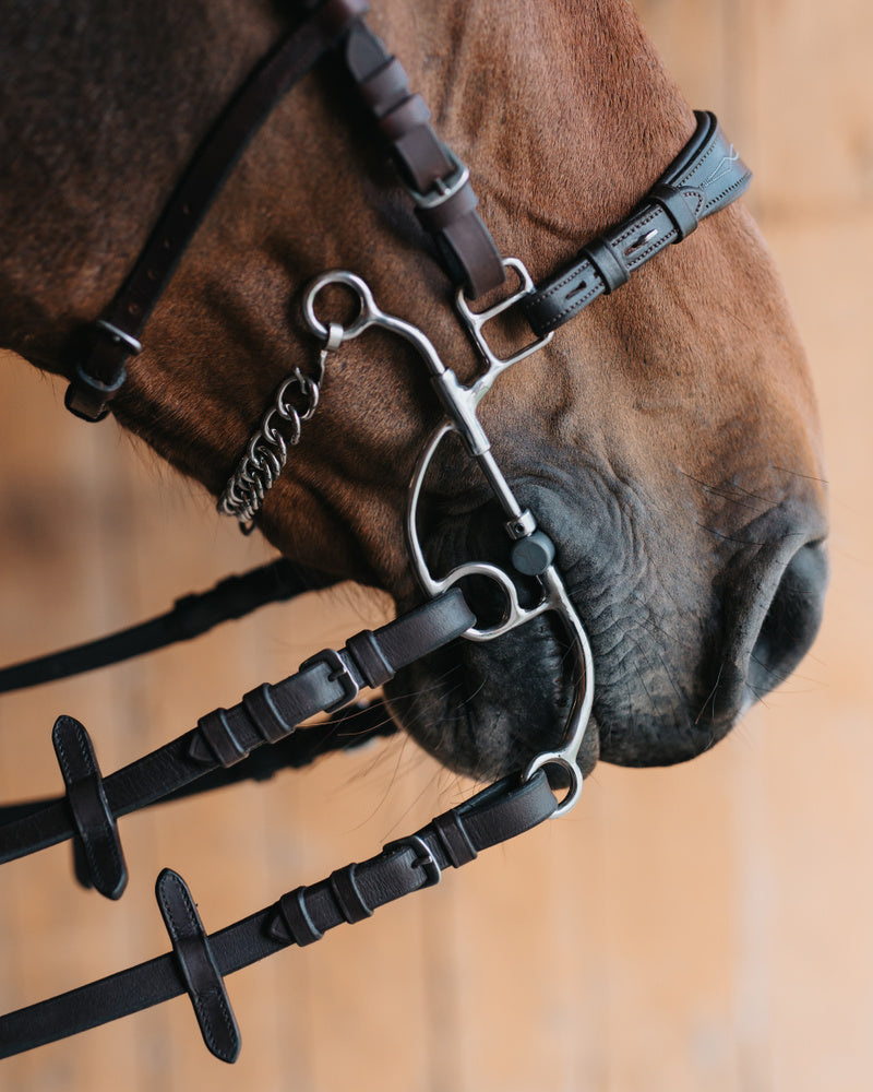 Otto Hackamore Combination bit Long shank