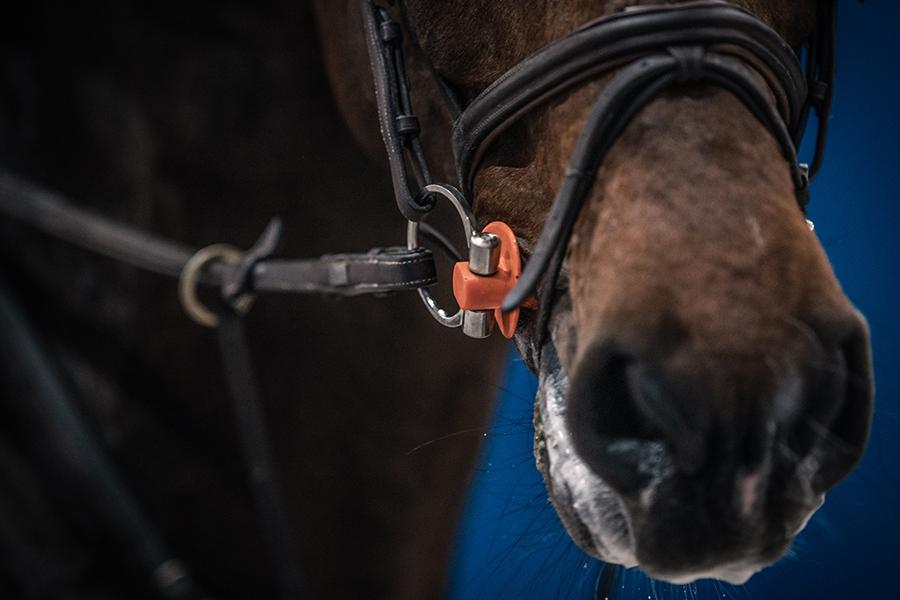 Winderen Eggbutt Snaffle