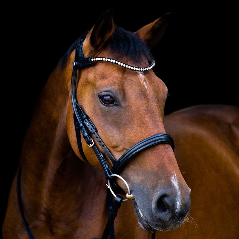 stubben tobacco bridle Snaffle Bridle 2500 Freedom Magic Tack