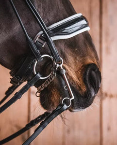 Double Bridle Bits