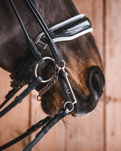 Fager Titanium Double Bridle Bits Weymouth