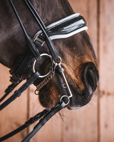 Fager Titanium Double Bridle Bits Weymouth