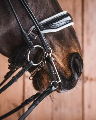 Fager Titanium Double Bridle Bits Bradoon