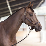 Stubben Stable Halter NT