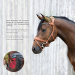 Freedom 2 Bridle with slide & lock
