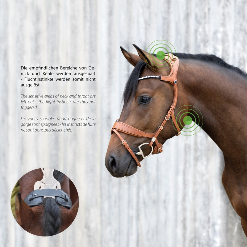 Freedom 2 Bridle with slide & lock with Magic tack