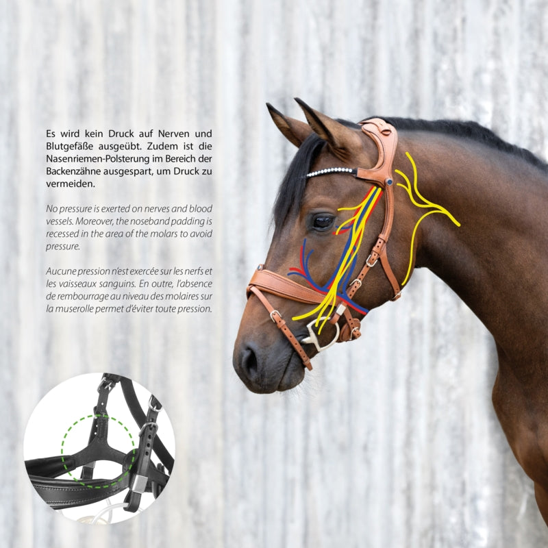 Freedom 2 Bridle with slide & lock with Magic tack