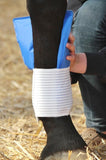 Kryo Kompakt Horse Elastic Bandage
