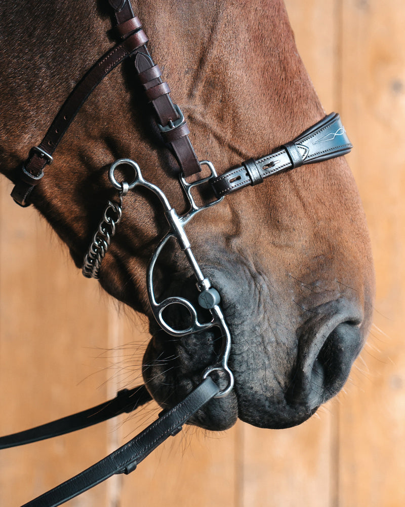 Otto Hackamore Combination bit Medium shank