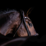 Spirit Rolled Drop Nose Bridle