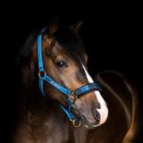 Stable Halter with Reflecting Thread