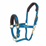 Stable Halter with Reflecting Thread