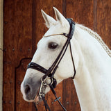 Cassidy Rolled Double Bridle
