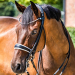 Finesse Cassidy Double Bridle