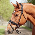 Finesse Cassidy Rolled Padded Flash Bridle