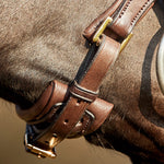 Cayenne Flash Bridle