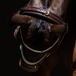 Cayenne Flash Bridle