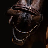 Cayenne Flash Bridle