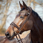 Finesse Cayenne Flash Bridle