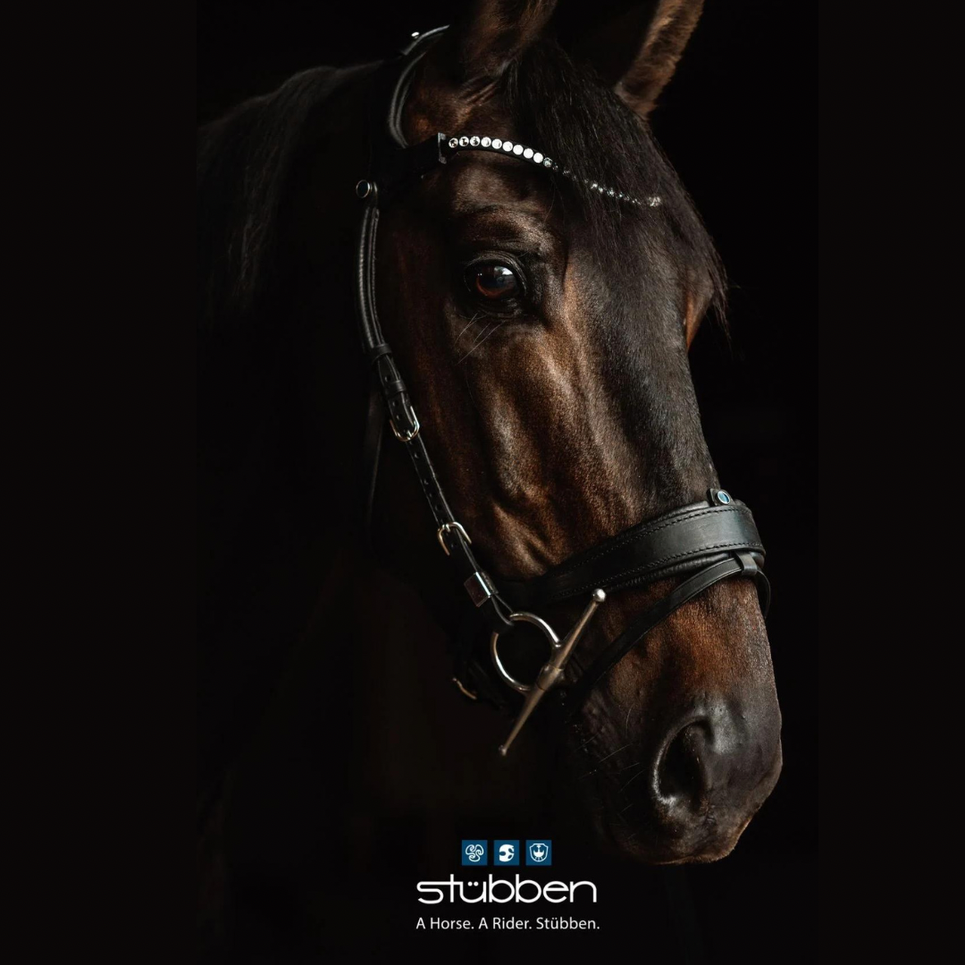 Freedom 2 Bridle with slide & lock