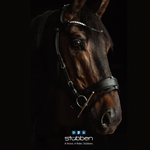 Freedom 2 Bridle with slide & lock