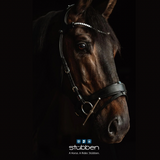 Freedom 2 Bridle with slide & lock