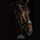 Freedom ll Bridle with slide & lock