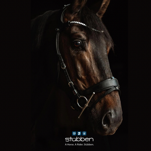 Stubben Switch Snaffle+Weymouth Bridle- Dressage Tack