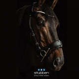 Freedom ll Bridle with slide & lock and magic tack