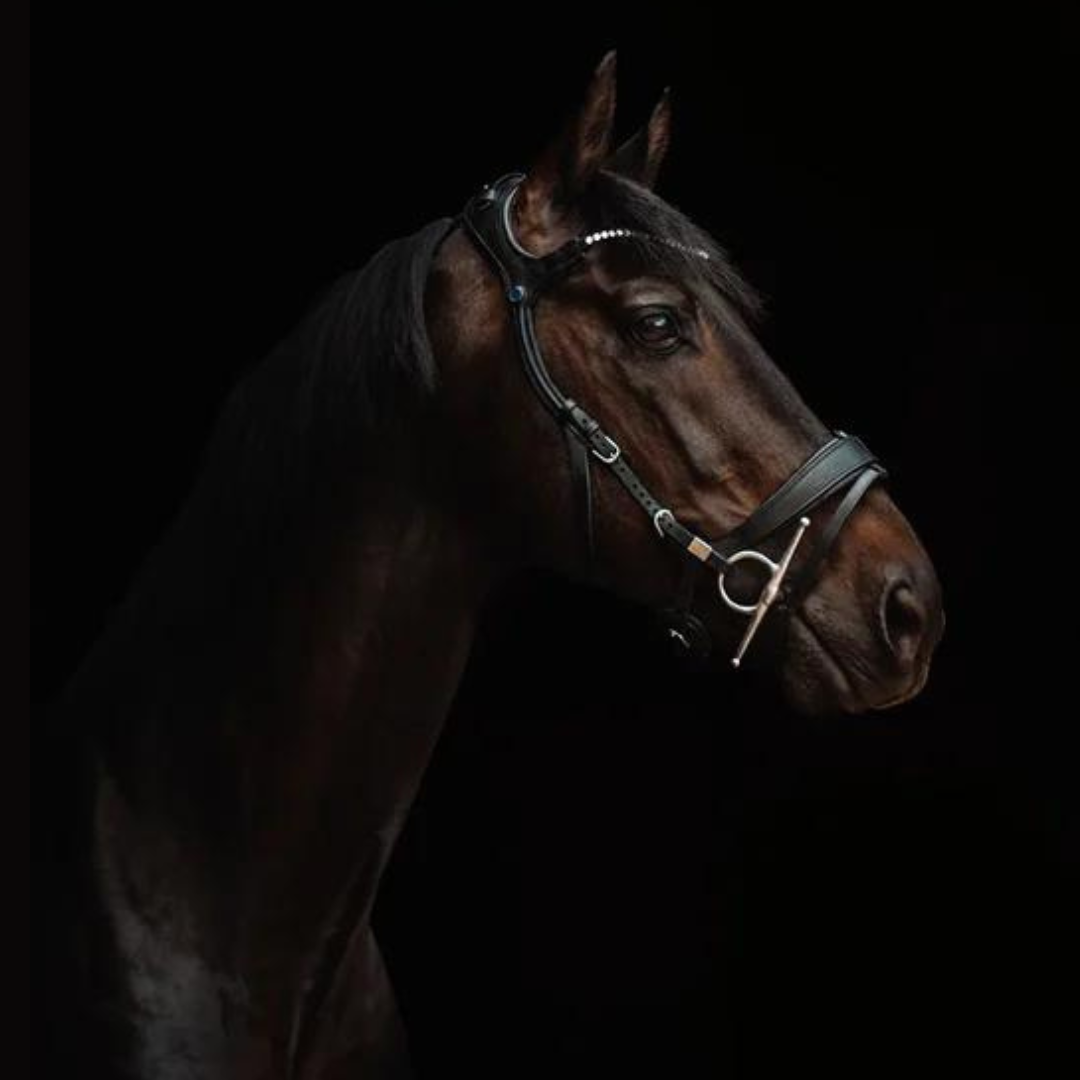 Freedom 2 Bridle with slide & lock with Magic tack