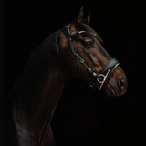 Freedom 2 Bridle with slide & lock