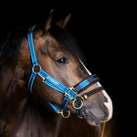 LK Controller for Stable Halters