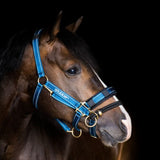 LK Controller for Stable Halters
