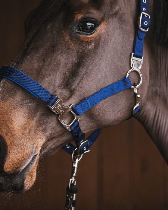 Fager Smart Halter Nylon Blue