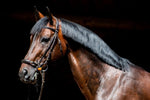 Winderen Full Cheek Snaffle