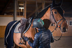 Winderen Full Cheek Snaffle