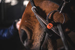Winderen Full Cheek Snaffle