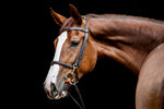 Winderen D-ring snaffle