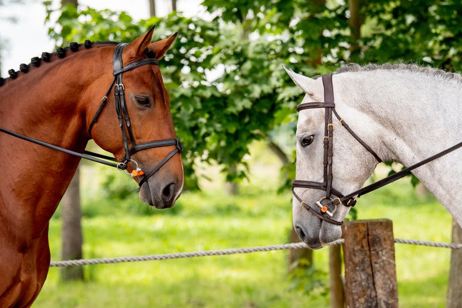 Winderen Eggbutt Snaffle