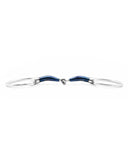 Anna Sweet Iron FSS Fixed rings