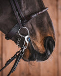 Sabina Titanium Mullen Mouth