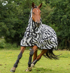 SWEET ITCH ZEBRA