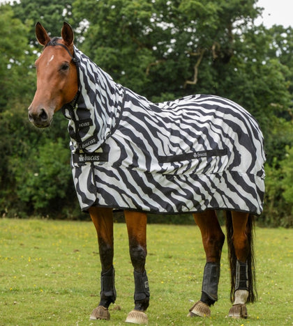 SWEET ITCH ZEBRA