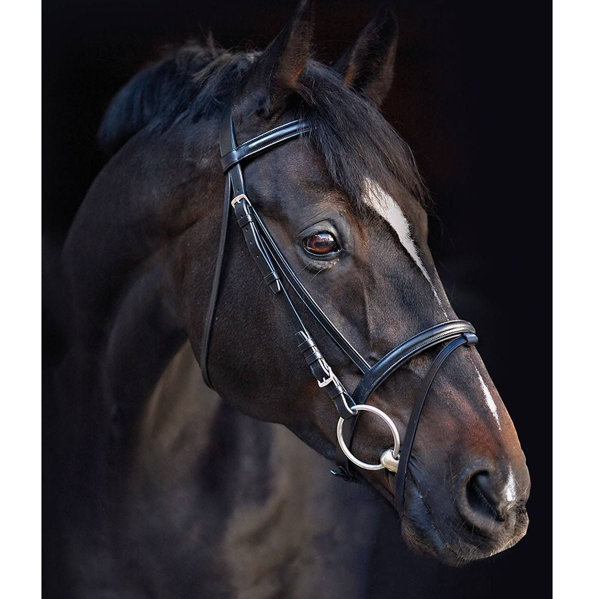 Amigo Leather Bridle