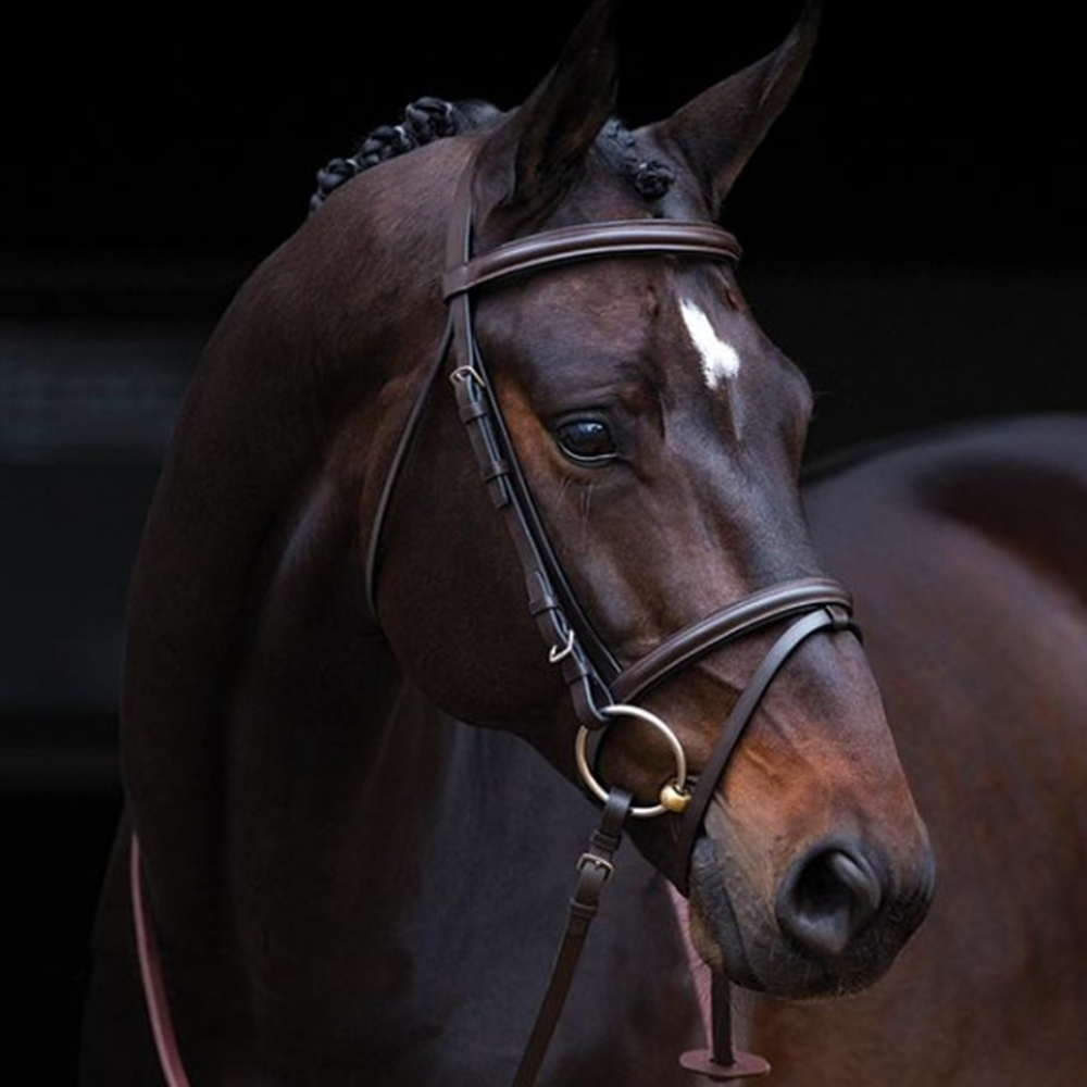 Amigo Leather Bridle
