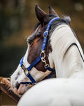 Fager Smart Halter Nylon Blue